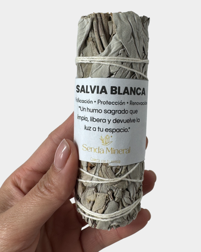 Salvia Blanca