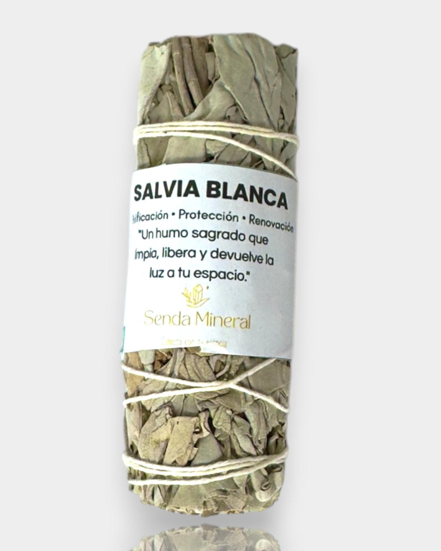 Salvia Blanca