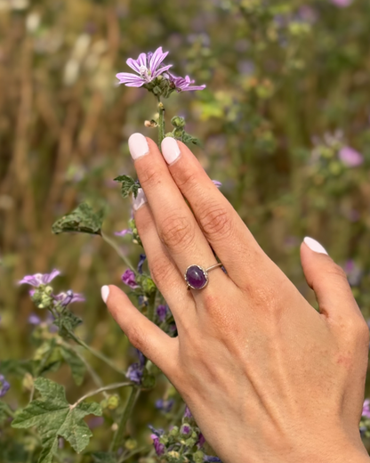 Anillo Alma Violeta - Amatista
