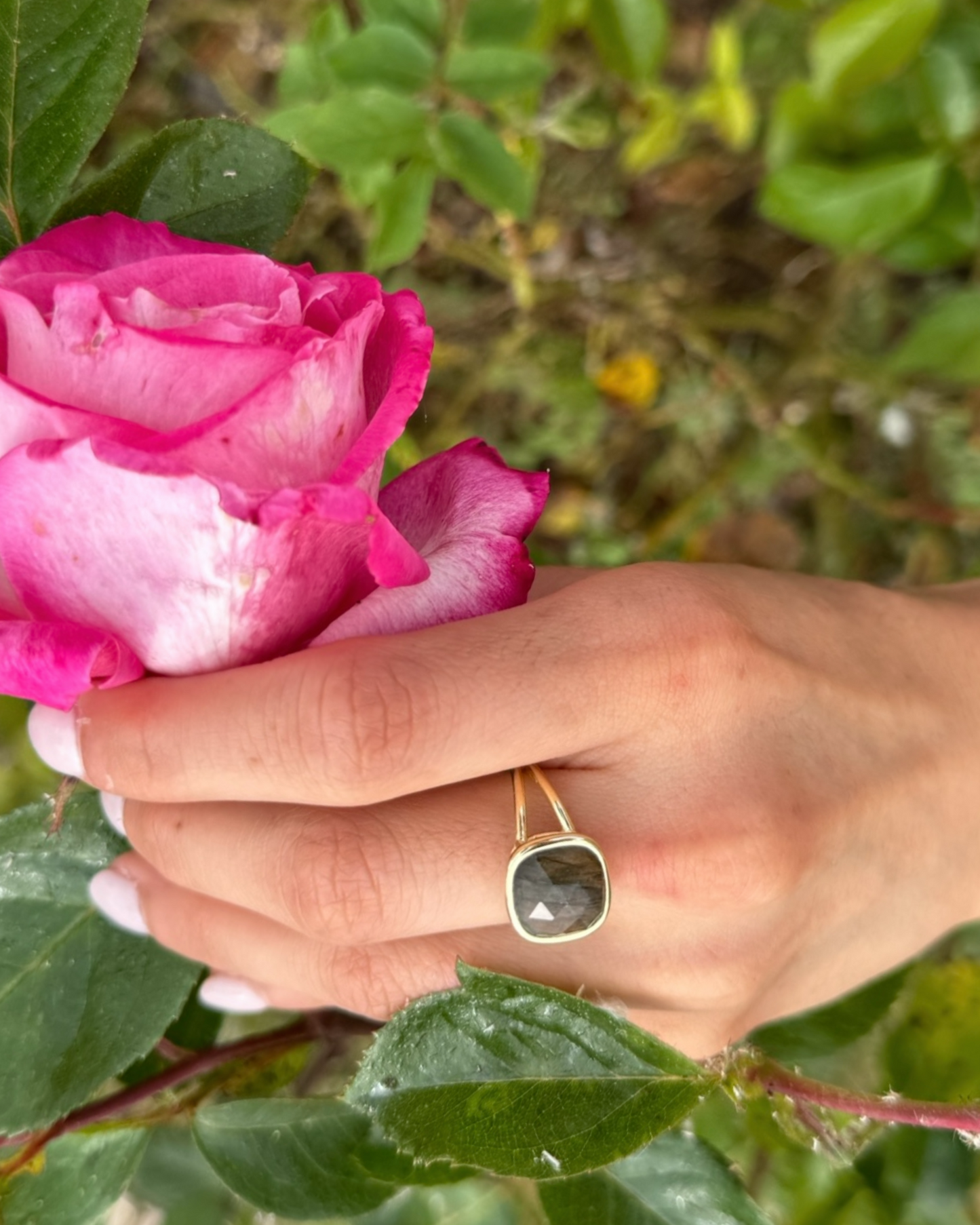 Anillo Esencia Viva - Labradorita