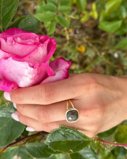 Anillo Esencia Viva - Labradorita