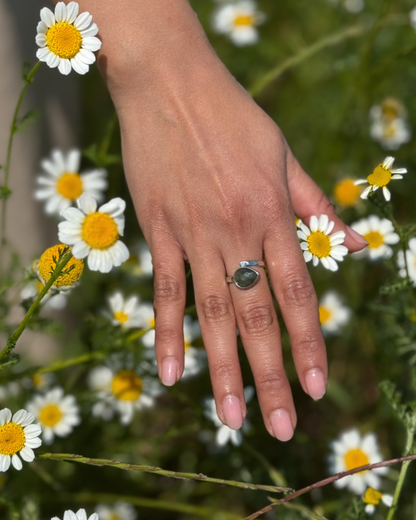 Anillo Portal Interno - Labradorita